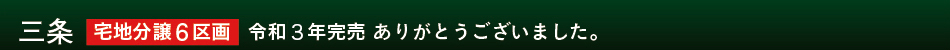 三条