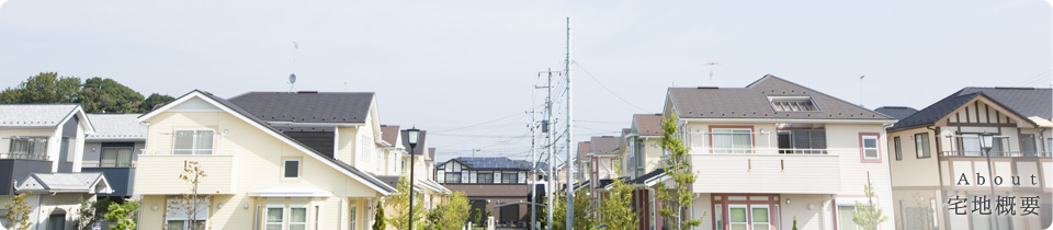 宅地分譲